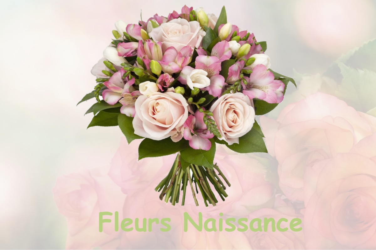 fleurs naissance VANAULT-LES-DAMES