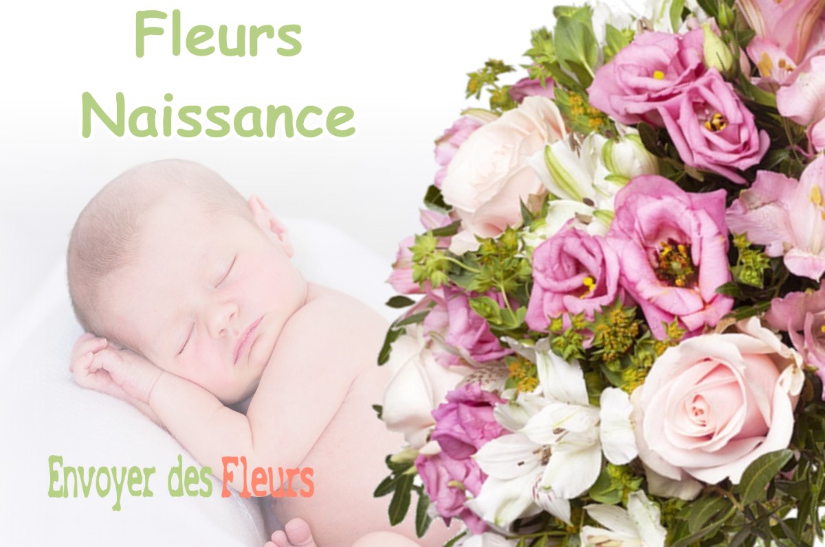 lIVRAISON FLEURS NAISSANCE à VANAULT-LES-DAMES